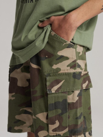 Шорты DIVERSE Bortes Sh 232 модель 10041314 Фото