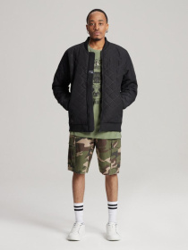 Повсякденні шорти DIVERSE Bortes Sh 232 модель 10041314 Фото