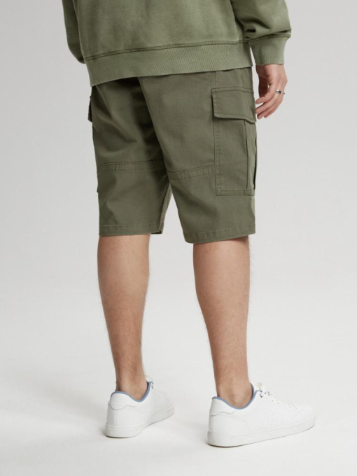 Шорты DIVERSE Thoran Sh 232 модель 10041325 Фото