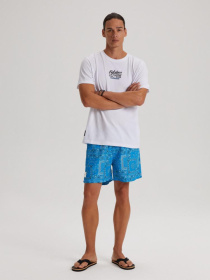 Шорты для плавания DIVERSE Branco P 233 модель 10041797 Фото