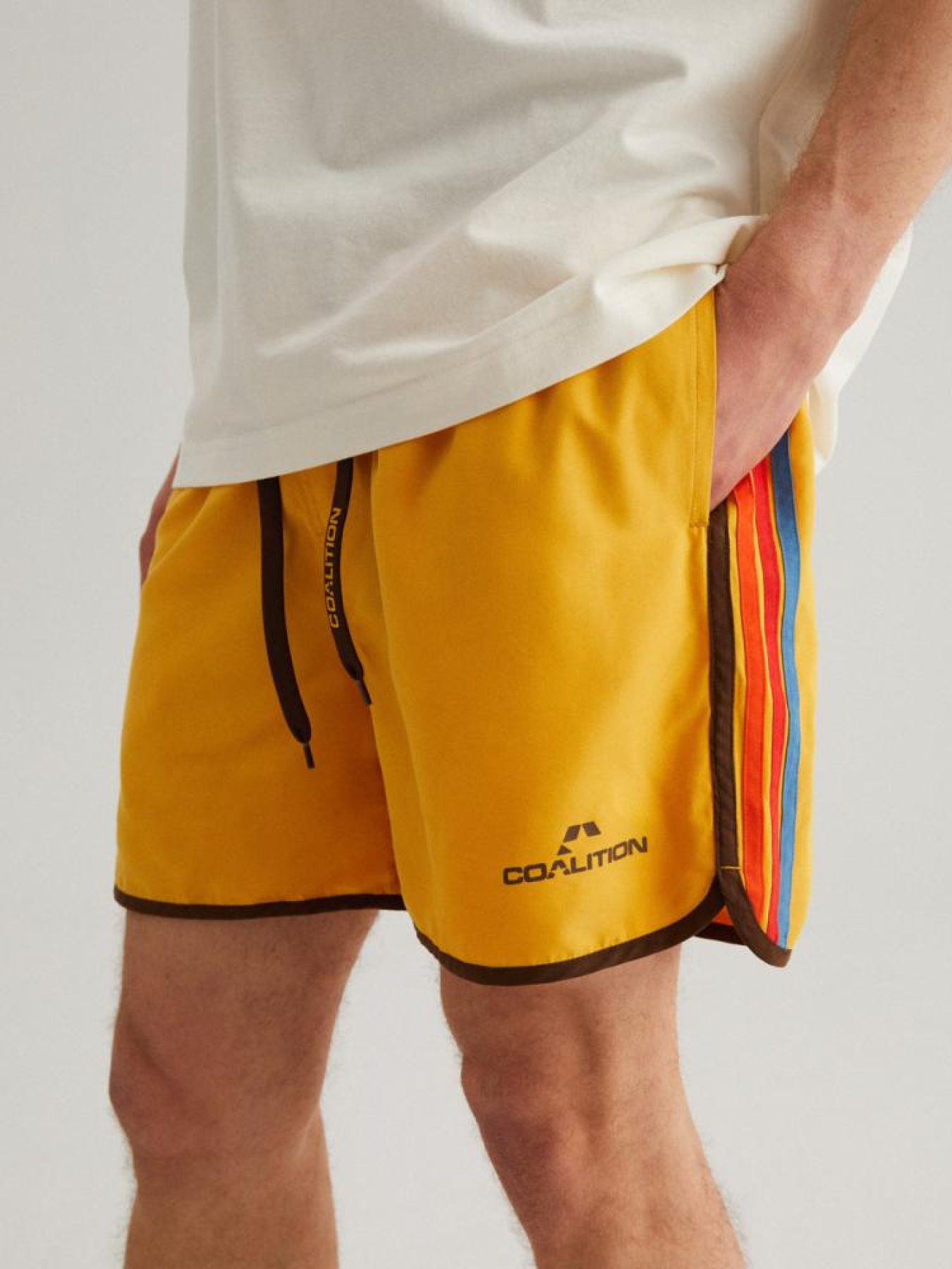 Шорты для плавания DIVERSE Cltn Retros 2 модель 10041799 Фото