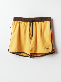 Шорты для плавания DIVERSE Cltn Retros 2 модель 10041799 Фото