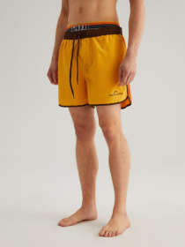 Шорты для плавания DIVERSE Cltn Retros 2 модель 10041799 Фото