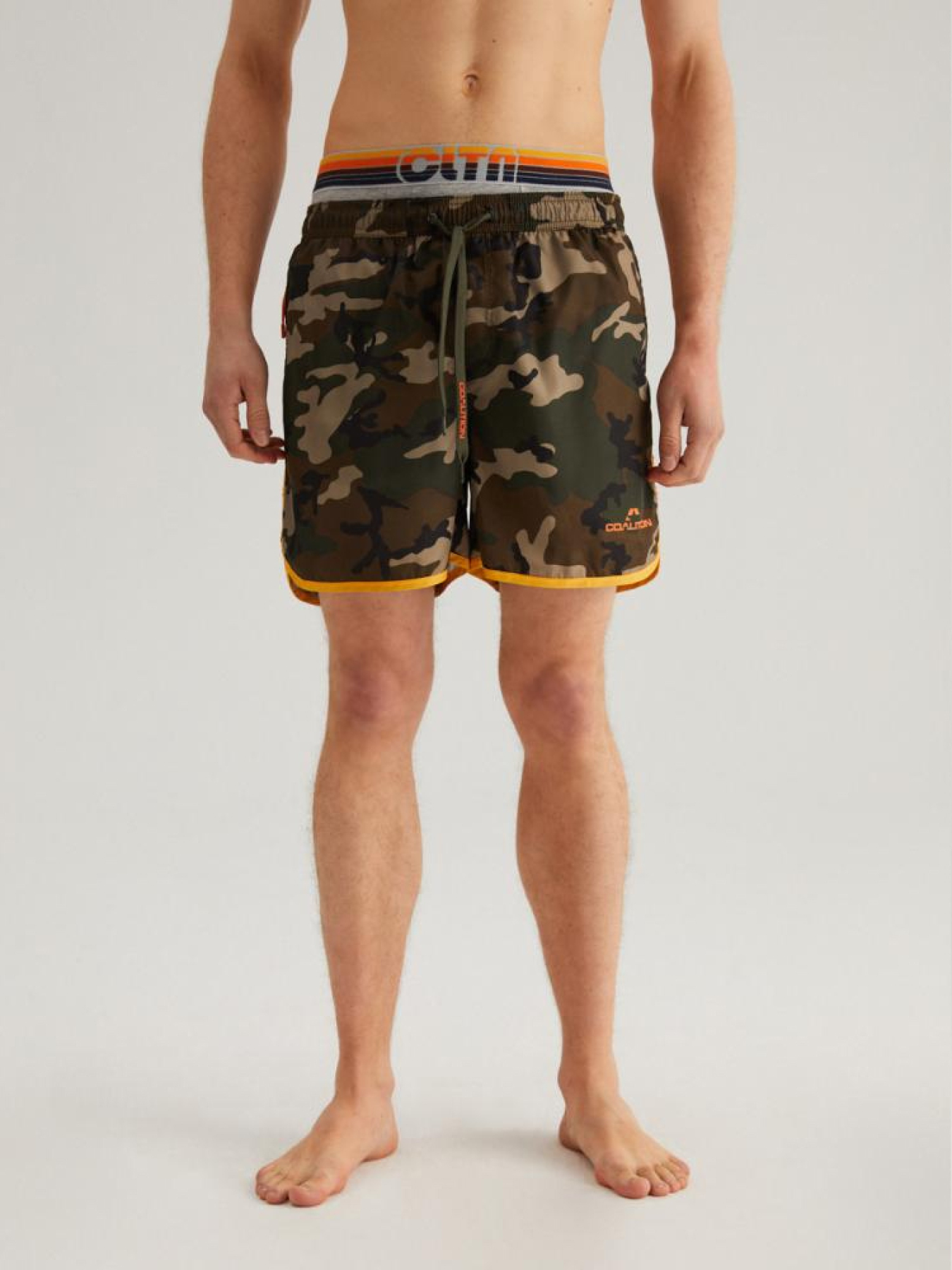 Шорты для плавания DIVERSE Cltn Retros C модель 10041800 Шорты для плавания DIVERSE Cltn Retros C модель 10041800 Фото