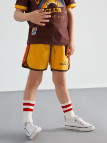 Шорти для плавання DIVERSE Cltn K Retros 2 модель 10041810 Фото