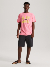 Повседневные шорты DIVERSE Postes Sh 233 модель 10041831 Фото