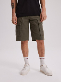 Повседневные шорты DIVERSE Thoran 242 Sh модель 10043897 Фото