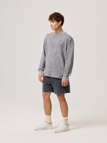 Шорты DIVERSE Cltn Sh 0224 модель 10044469 Фото