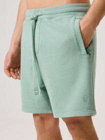 Шорты DIVERSE Cltn Sh 0224 модель 10044469 Фото