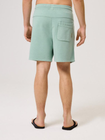 Шорты DIVERSE Cltn Sh 0224 модель 10044469 Фото