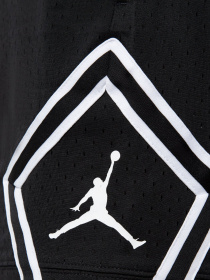 Шорти Jordan Df Sprt Dmnd Short модель DX1487-010 Фото