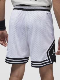 Повсякденні шорти Jordan Dri-Fit Sport модель DX1487-100 Фото