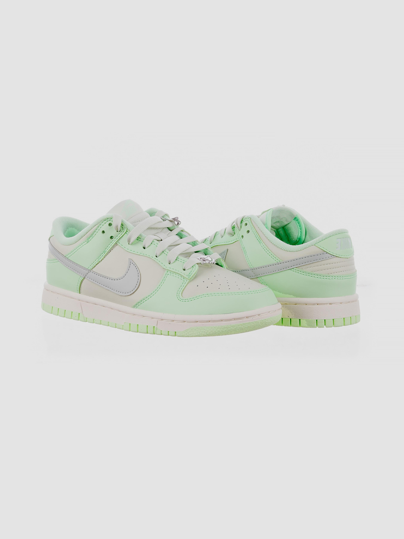 Кросівки NIKE Dunk Low Nn Se модель FN6344-001 Фото