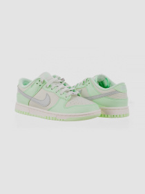 Кросівки NIKE Dunk Low Nn Se модель FN6344-001 Фото