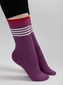 Носки Famo модель SH-279-51_07 Фото