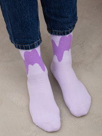 Носки Famo модель SH-8015_02 Фото