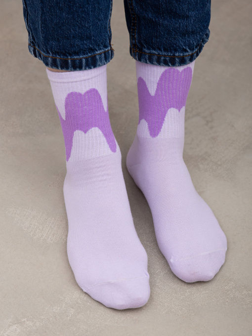 Шкарпетки Famo модель SH-8015_02 Фото