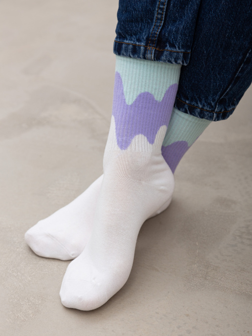 Носки Famo модель SH-8015_04 Фото