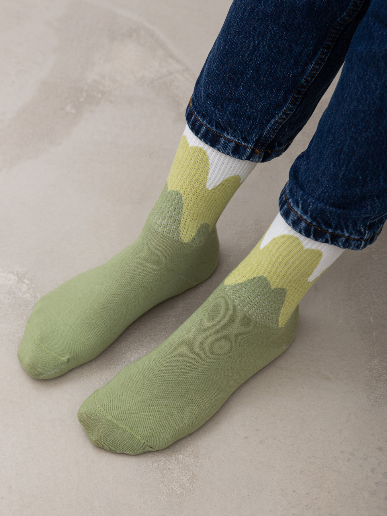 Шкарпетки Famo модель SH-8015_06 Фото