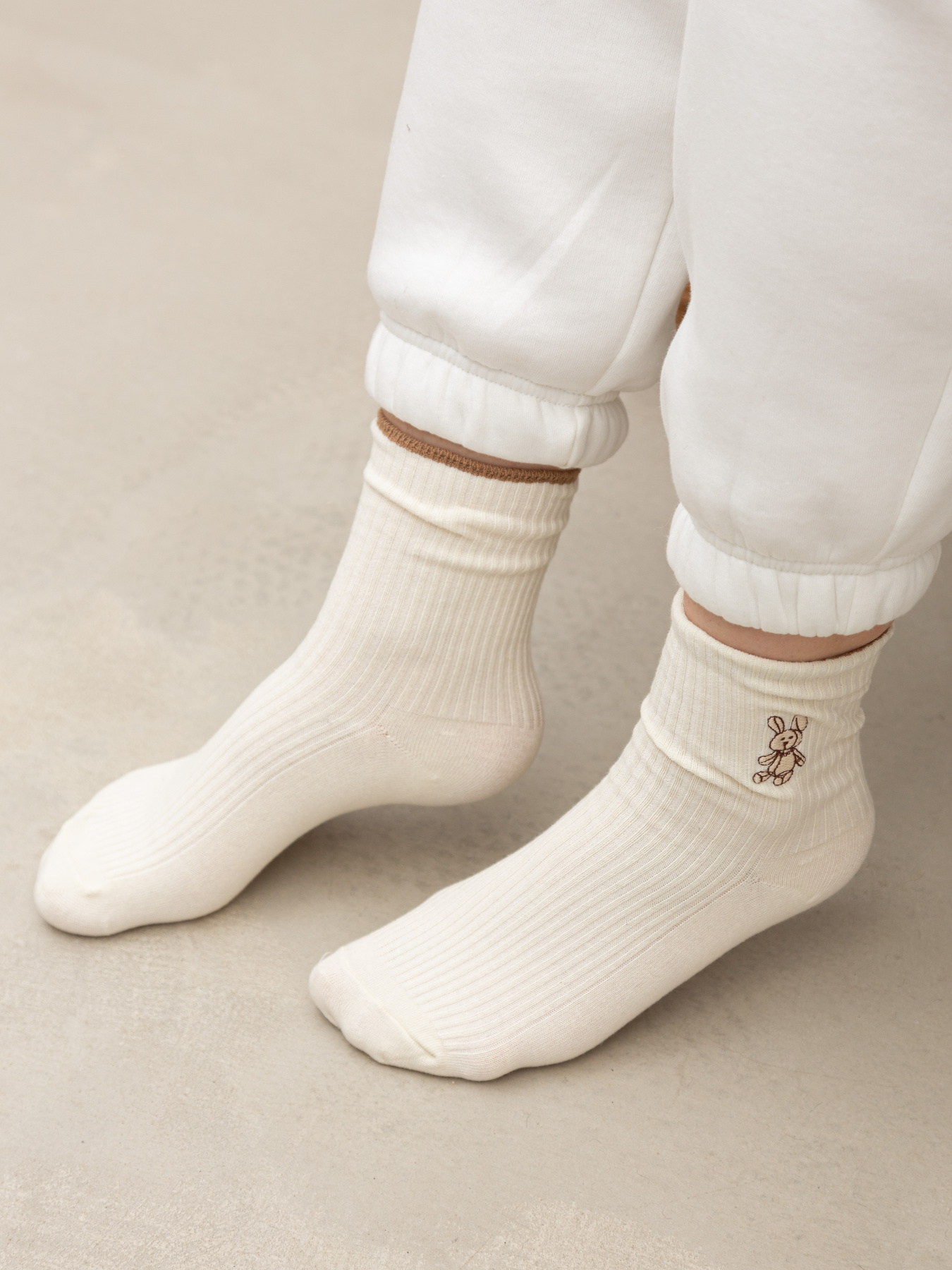 Носки Famo модель SH-8008_03 Фото