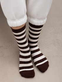 Шкарпетки Famo модель SH-582-5_01 Фото