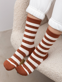 Носки Famo модель SH-582-5_04 Фото