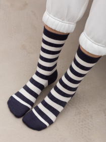 Шкарпетки Famo модель SH-582-5_05 Фото