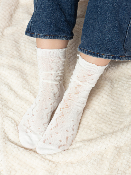 Носки Famo модель SH-666-4_04 Фото