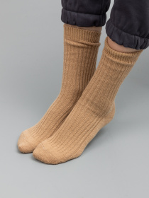 Носки Famo модель SH-800-3_02 Фото