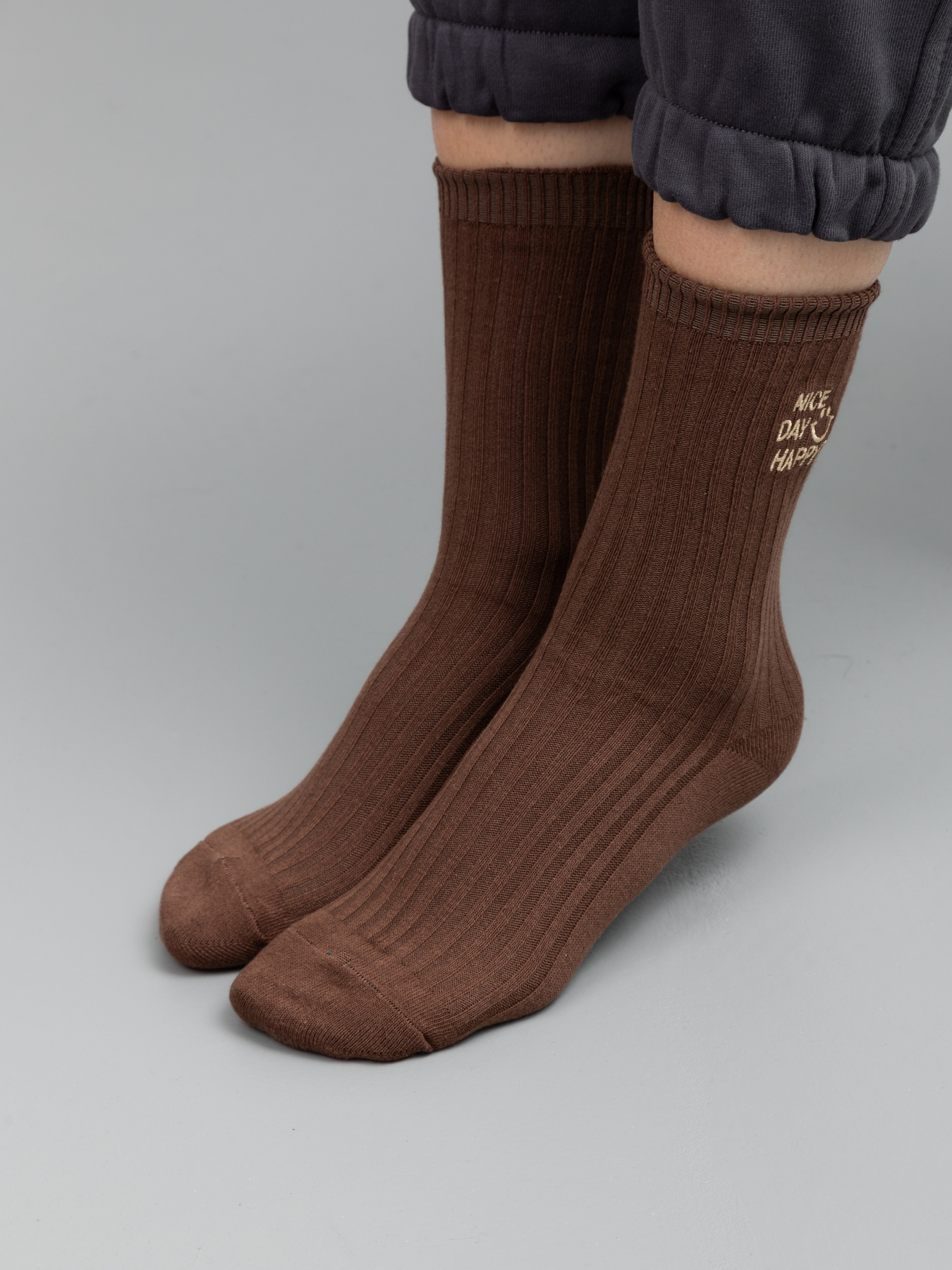 Носки Famo модель SH-560-16_03 Фото