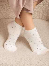 Носки Famo модель SH-889-1_04 Фото