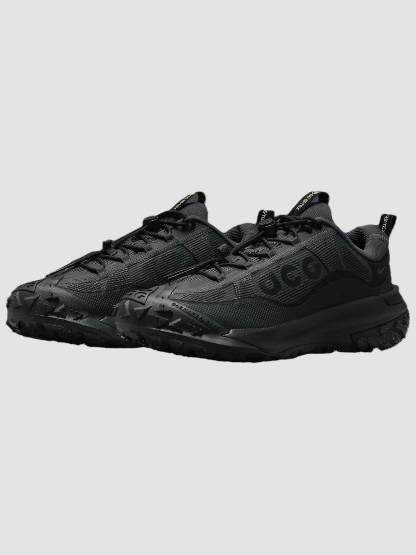 Кросівки NIKE Acg Mountain Fly 2 Low Gore-Tex модель HF6245-001 Фото