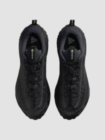 Кросівки NIKE Acg Mountain Fly 2 Low Gore-Tex модель HF6245-001 Фото