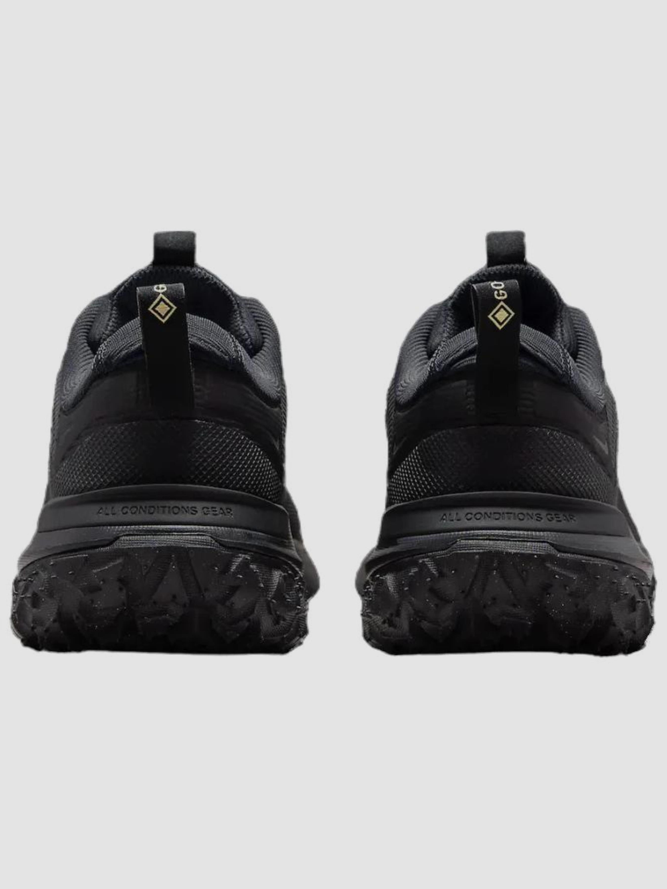 Кроссовки повседневные NIKE Acg Mountain Fly 2 Low Gore-Tex модель HF6245-001 Кроссовки повседневные NIKE Acg Mountain Fly 2 Low Gore-Tex модель HF6245-001 Фото