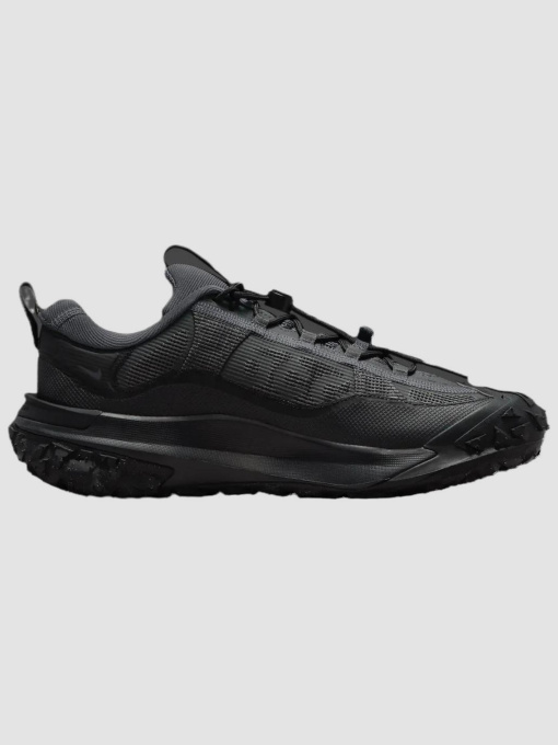 Кроссовки повседневные NIKE Acg Mountain Fly 2 Low Gore-Tex модель HF6245-001 Фото