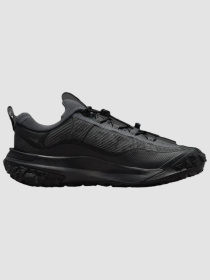Кроссовки повседневные NIKE Acg Mountain Fly 2 Low Gore-Tex модель HF6245-001 Фото