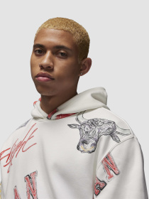 Худи Jordan Flight Ess Aop Flc Po модель FN4545-133 Фото