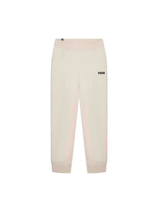 Штаны спортивные PUMA Ess Sweat Pants Closed Fl W модель 847206 Фото