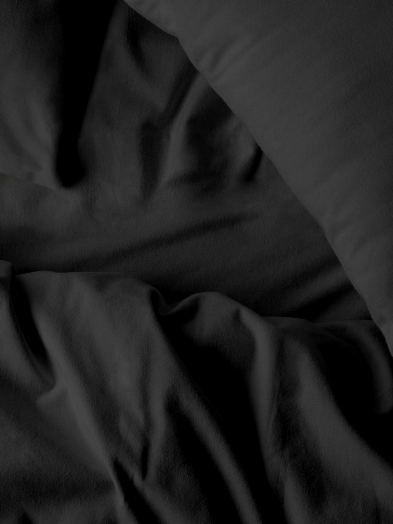 Наволочка фланель PANTHER Cosas модель Flannel_00Panther_40x60 Фото