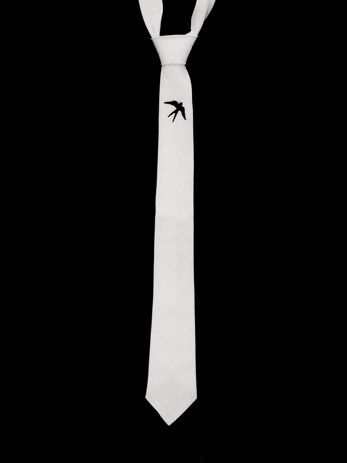 Краватки та комірці GNIZDO модель LTMESWC-002 Фото