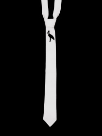 Галстуки и воротнички GNIZDO модель LTMEHWC-002 Фото