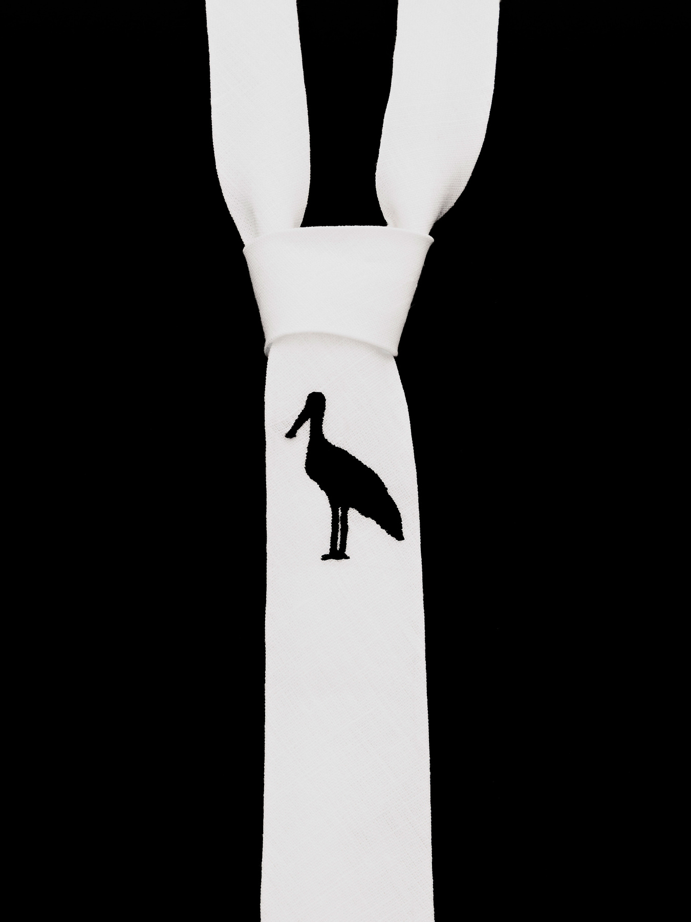 Краватки та комірці GNIZDO модель LTMEHWC-002 Фото