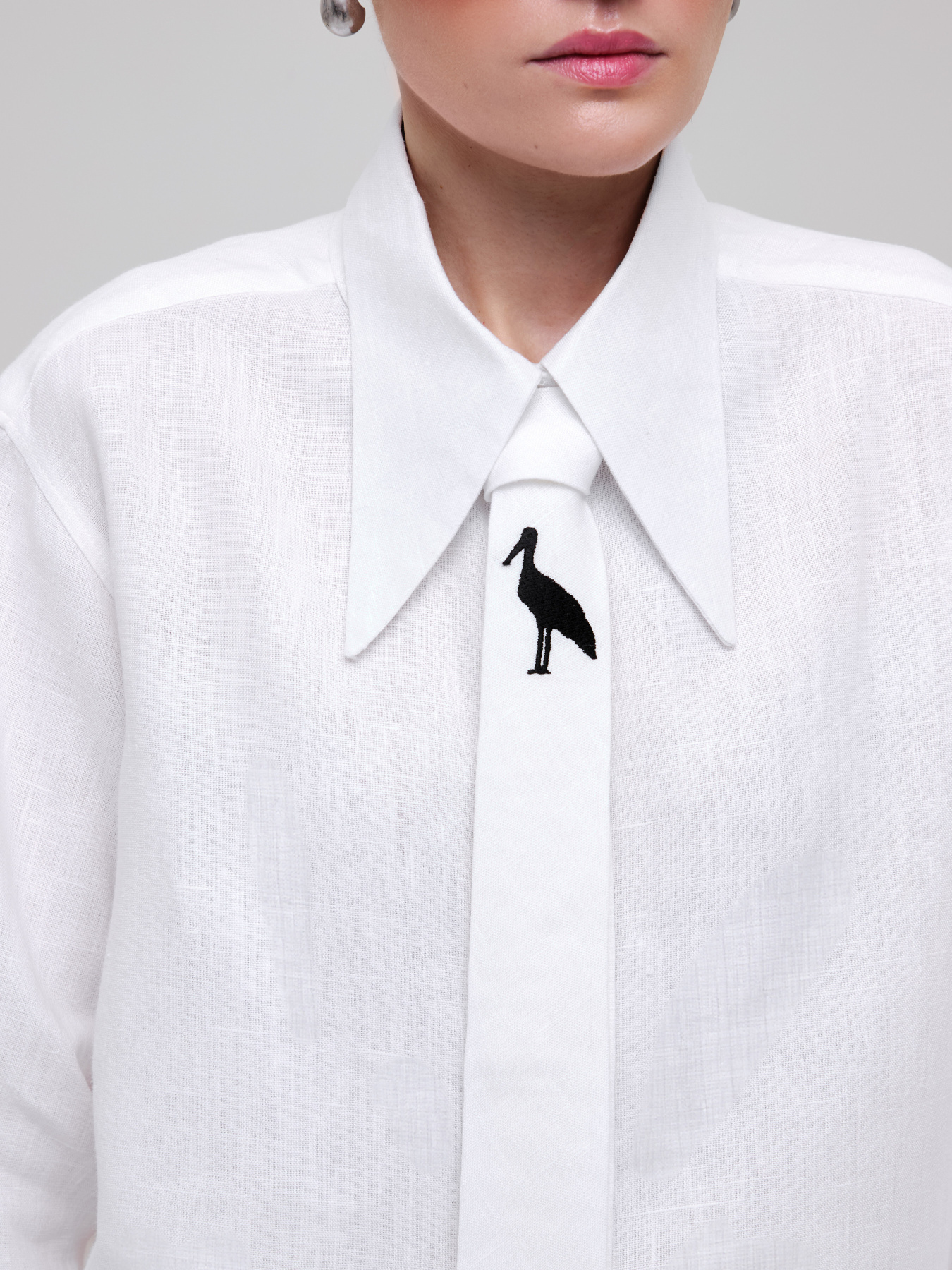 Краватки та комірці GNIZDO модель LTMEHWC-002 Фото