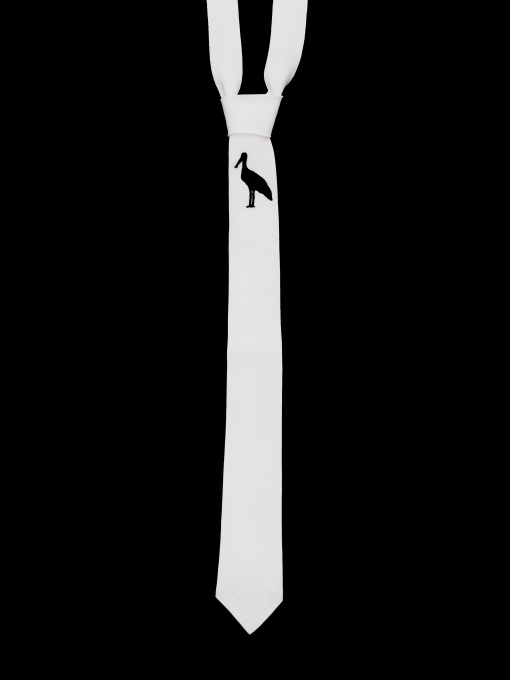 Краватки та комірці GNIZDO модель LTMEHWC-002 Фото