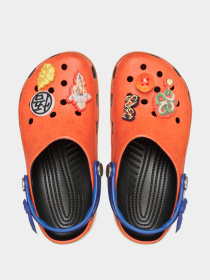 Сабо Crocs модель 210826MLT Фото