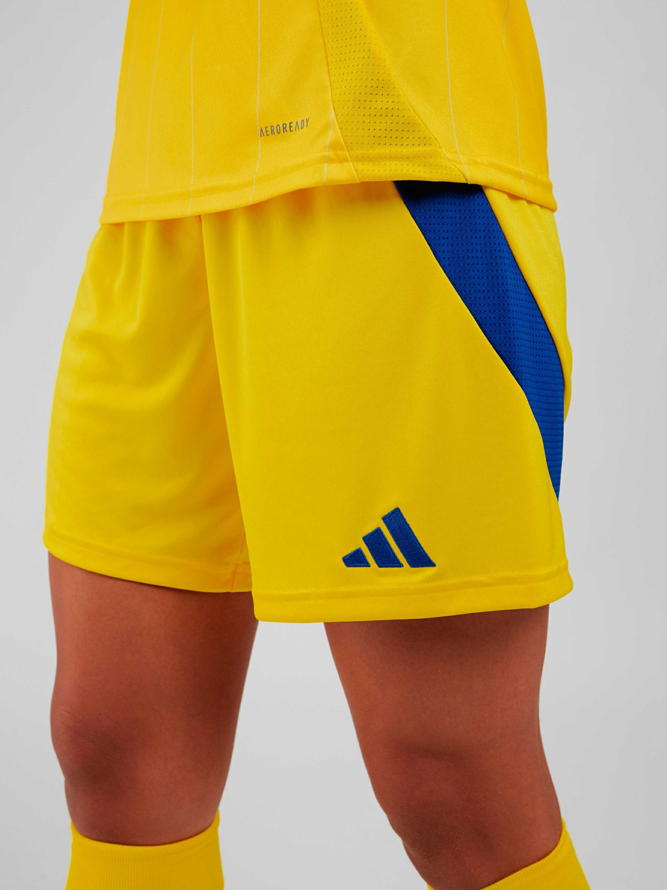 Шорты спортивные Adidas модель IP2180 Фото