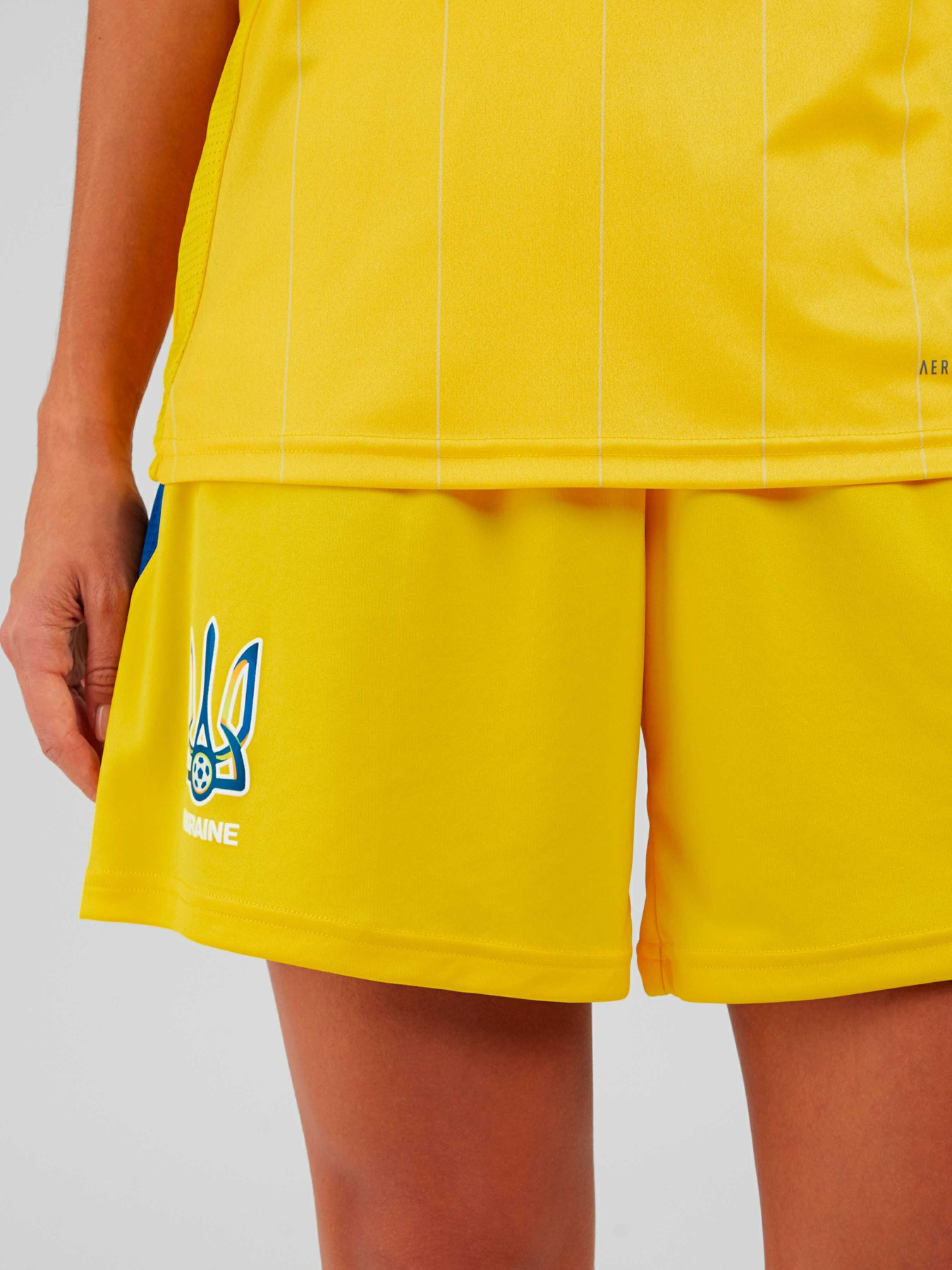 Спортивні шорти Adidas модель IP2180 Фото