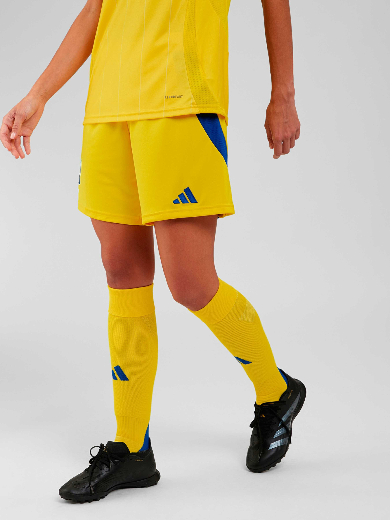 Спортивні шорти Adidas модель IP2180 Фото