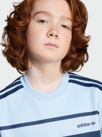 Футболка Adidas Adicolor модель JC9043 Фото