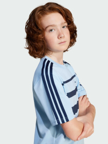 Футболка Adidas Adicolor модель JC9043 Фото